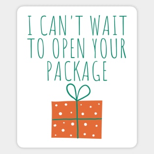 Christmas Humor. Rude, Offensive, Inappropriate Christmas Design. I Can't Wait To Open Your Package In Green Magnet